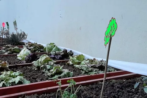 Istituto Maria Ausiliatrice