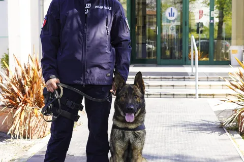 Dexter - unità cinofila