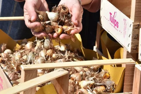 Giardini d'autore 2021