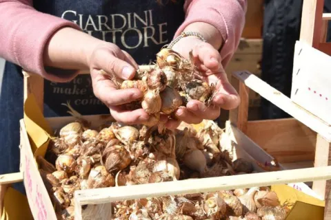 Giardini d'autore 2021