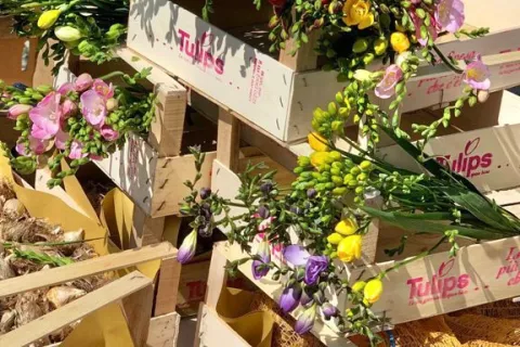 Giardini d'autore 2021