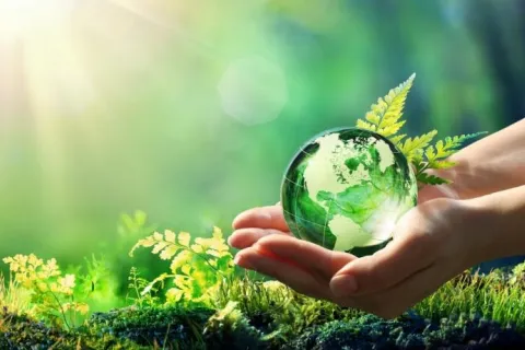 ambiente ed ecologia