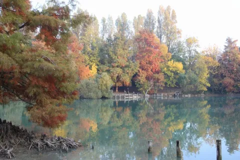 Parco Giovanni Paolo II