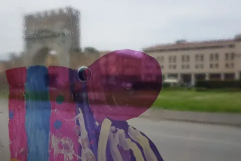 sale d'attesa per farfalle