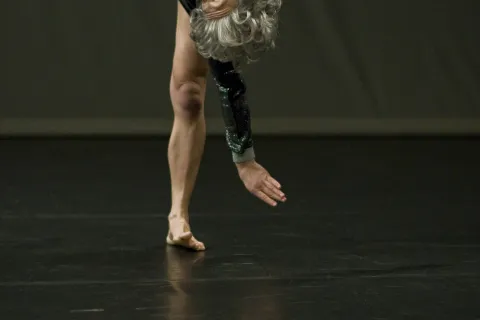 compagnia simona bertozzi nexus, ilinx don't stop the dance