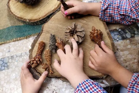 esperienze con materiali naturali