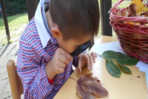 lente d'ingradimento