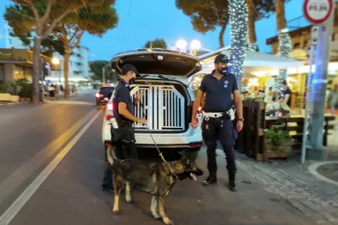 Pattuglione Polizia Locale con le unità cinofile