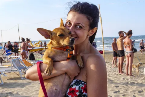 cani in spiaggia