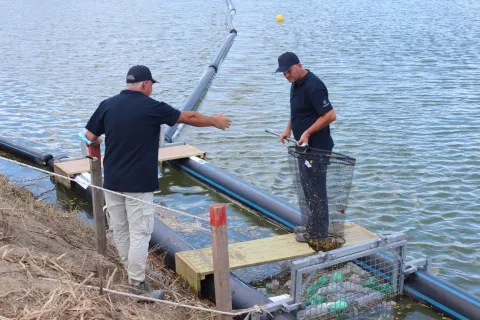 Inaugurazione progetto integrato a tutela delle acque nel territorio di Rimini