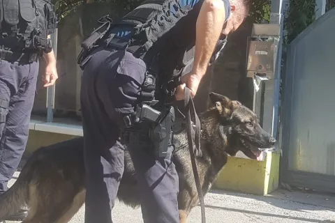 Controllo dei vigili presso l'Hotel Dream