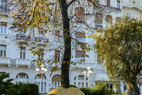 Rinocerontessa nel giardino del Grand Hotel