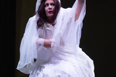 Lucia di Lammermoor