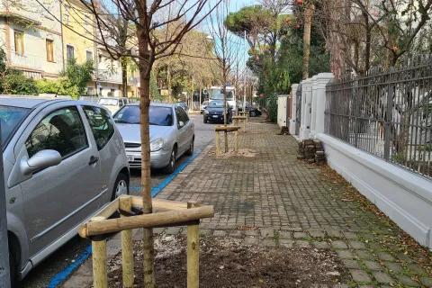 alberi Viale dardanelli