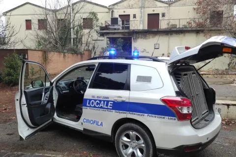  Polizia Locale