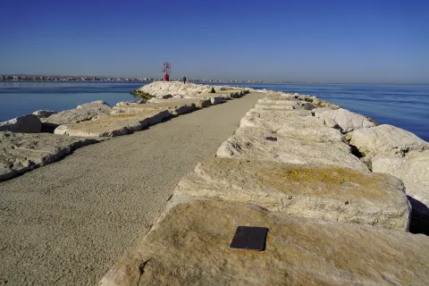 “Giorno del Ricordo”: la celebrazione del 10 Febbraio alla Biblioteca di Pietra