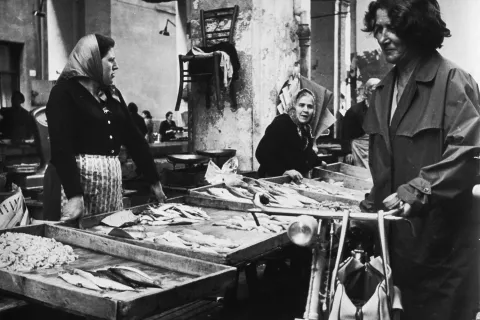 Archivio fotografico Davide Minghini - Biblioteca Gambalunga Rimini