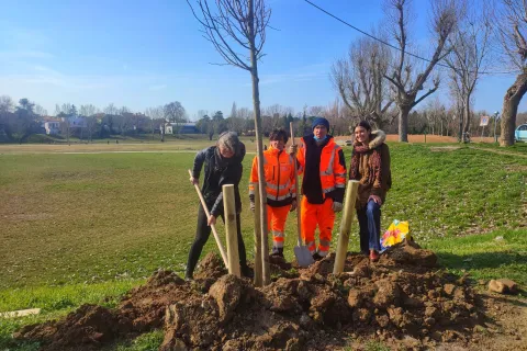 messa a dimora di un tiglio al Parco Marecchia