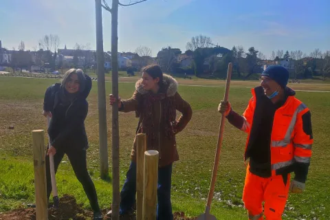 messa a dimora di un tiglio al Parco Marecchia
