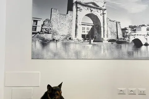 Jago con droga sequestrata