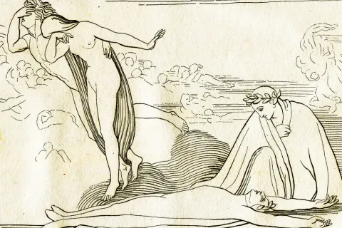 La Commedia immaginata 