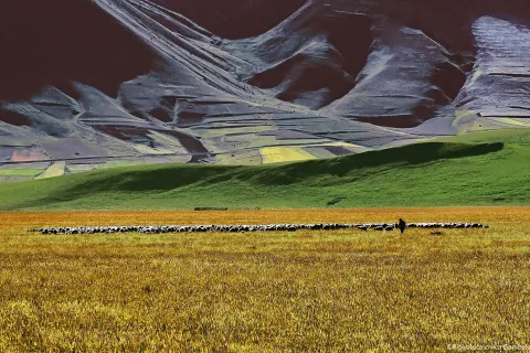 Italo Di Fabio: fotoamatore o fotoinnovatore