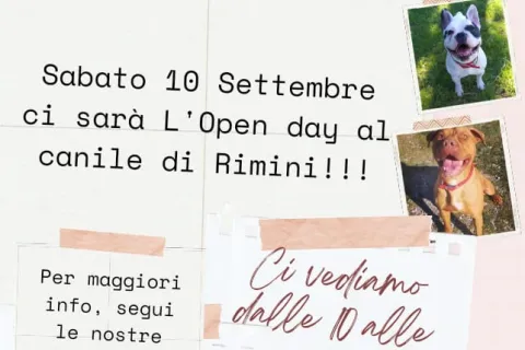 open day al Canile di Rimini Stefano Cerni