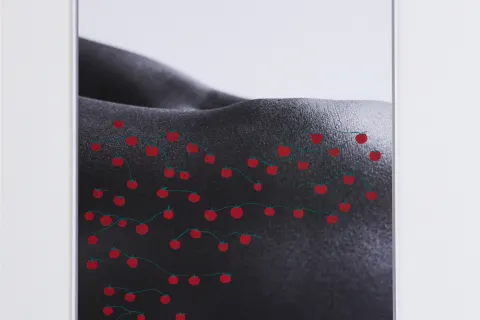 Binta Diaw, Paysage Corporel VII