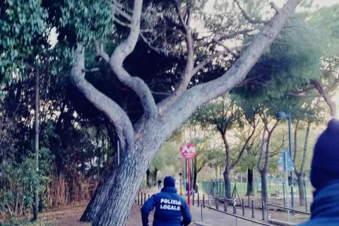 polizia locale e unità cinofile
