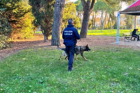 polizia locale e unità cinofile