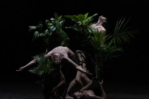 paradiso_ph_salvatorepastore