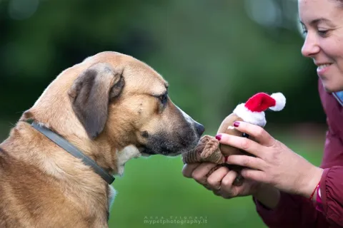 canile stefano cerni - chiara