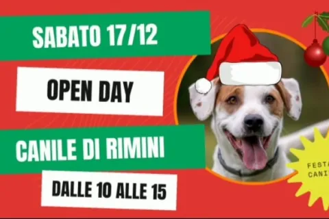 open day canile