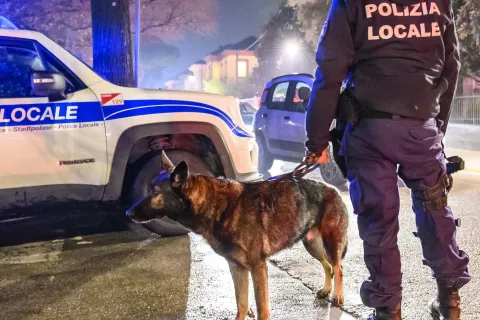 unità cinofila della Polizia Locale