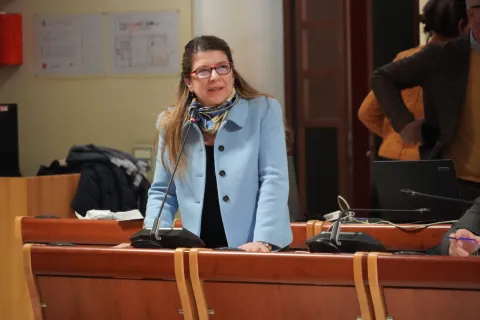 consiglio comunale straordinario