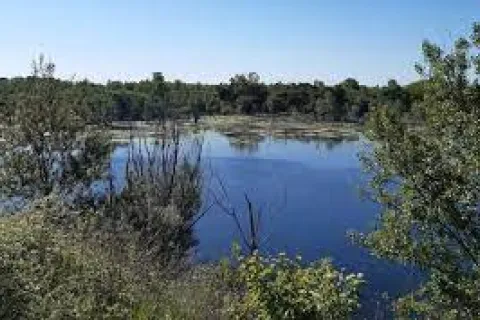 ex cava In Cal System