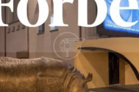 Articolo della rivista Forbes su Rimini