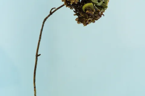 mostra segnali urbani