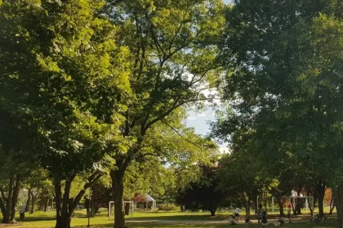 parco pertini rivazzurra