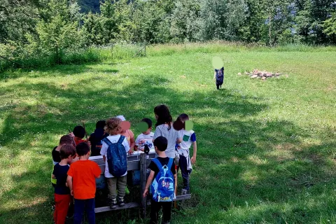 campeggi delle scuole d’infanzia comunale