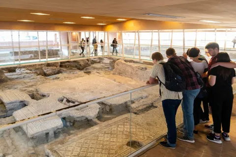 documus del chirurgo