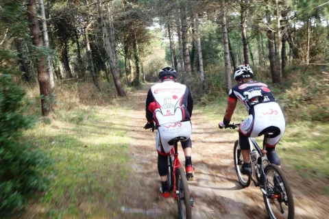 Escursioni in bicicletta