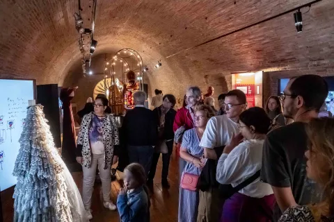 Festa Rimini Vieni Oltre - Musei