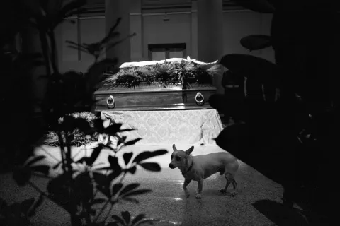 camera ardente fellini - ph marco pesaresi