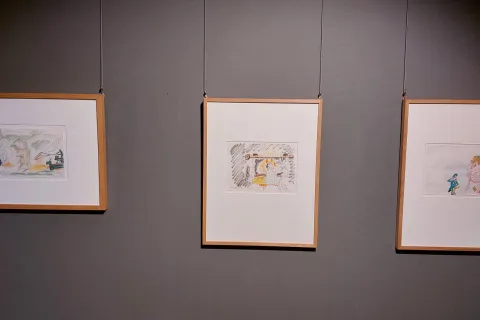 anteprima stampa mostra fellini fulgor