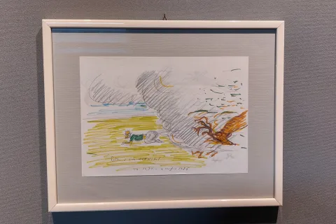 anteprima stampa mostra fellini fulgor