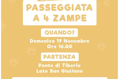 volantino passeggiata a 4 zampe
