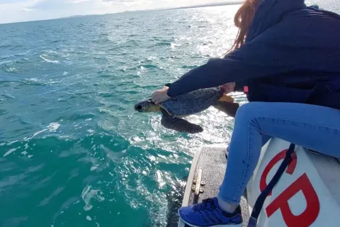 “Rimini Blue Lab”: “Mimmo” e “Carolina” ritornano in mare.