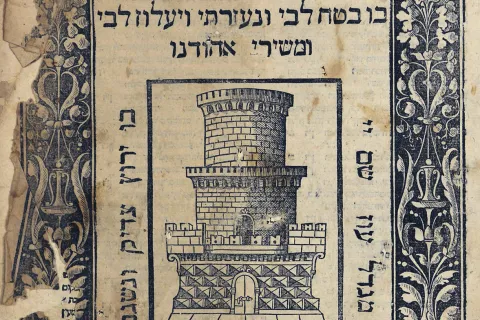 voci dai fondi . Biblioteca 30 nov 2023