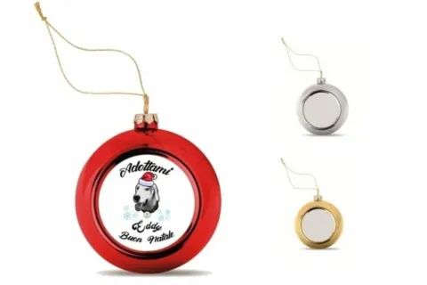 Open day Canile comunale Stefano Cerni